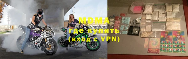 шишки Лабытнанги