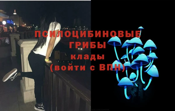 Альфа ПВП Ладушкин