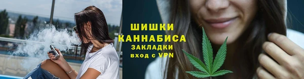 шишки Лабытнанги