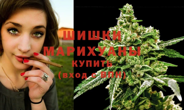 Альфа ПВП Ладушкин