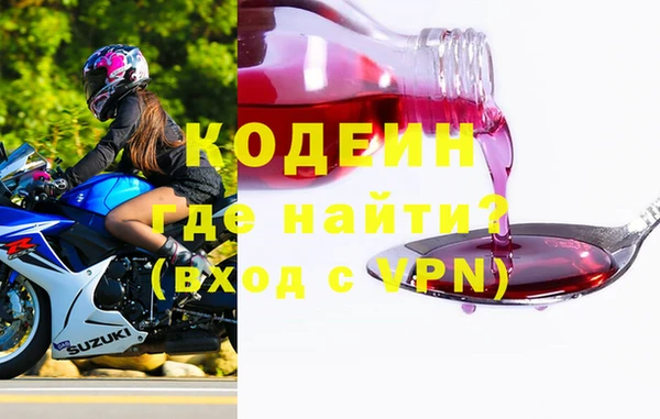 шишки Лабытнанги