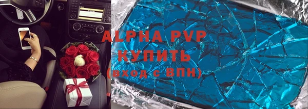 шишки Лабытнанги