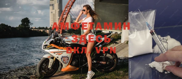 шишки Лабытнанги
