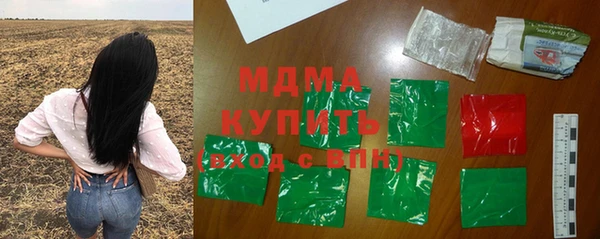 шишки Лабытнанги