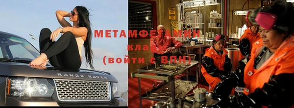 шишки Лабытнанги