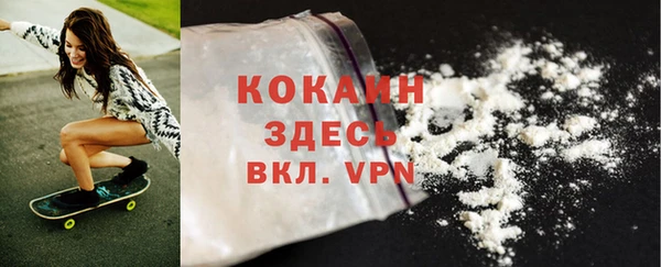 шишки Лабытнанги
