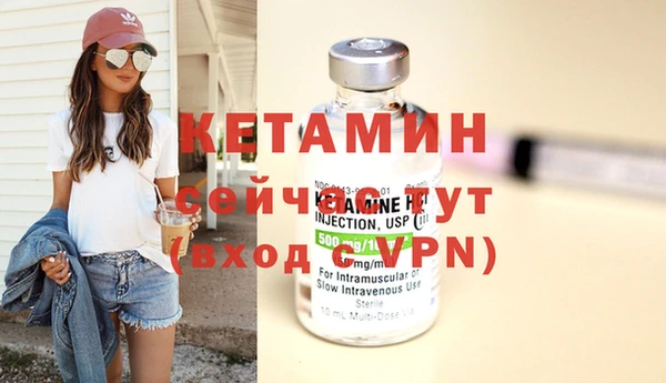 шишки Лабытнанги