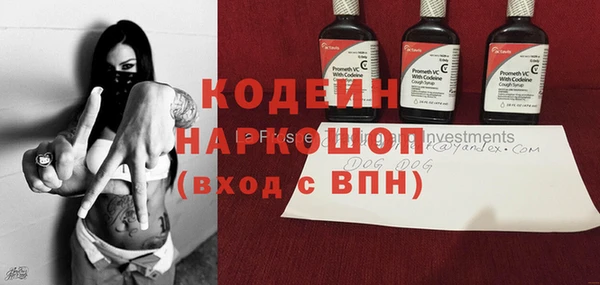 шишки Лабытнанги