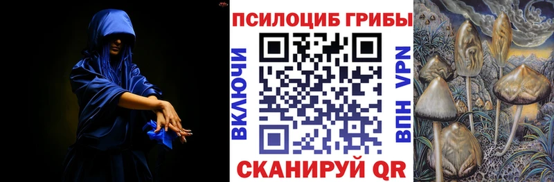 Купить закладки  Приморско-Ахтарск  Галлюциногенные грибы мухоморы 